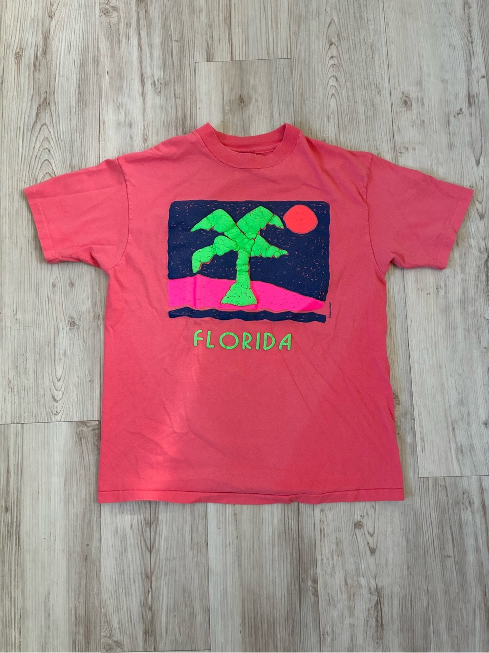 Vintage Florida Hanes Beefy-T
